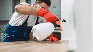 Best Pest Exclusion Services  in Ashtabula, OH